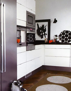 scandinavian kitchens color022a.jpg